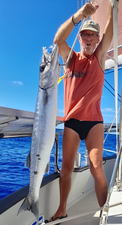 1 barracuda1